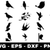 Bird SVG Bundle