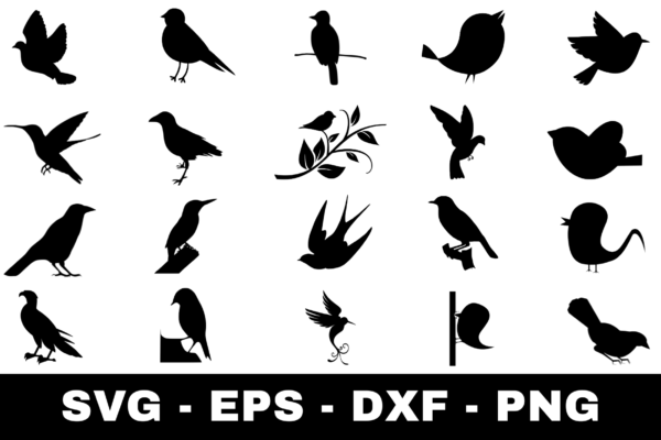 Bird SVG Bundle