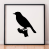 Bird SVG Bundle