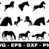Horse SVG Bundle