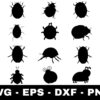 Ladybug SVG Bundle